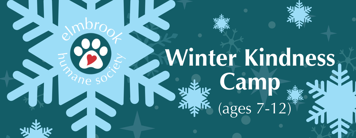 Winter Kindness Camp (ages 7-12) - 12/22
